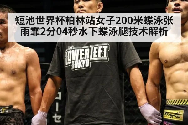 短池世界杯柏林站女子200米蝶泳张雨霏2分04秒水下蝶泳腿技术解析